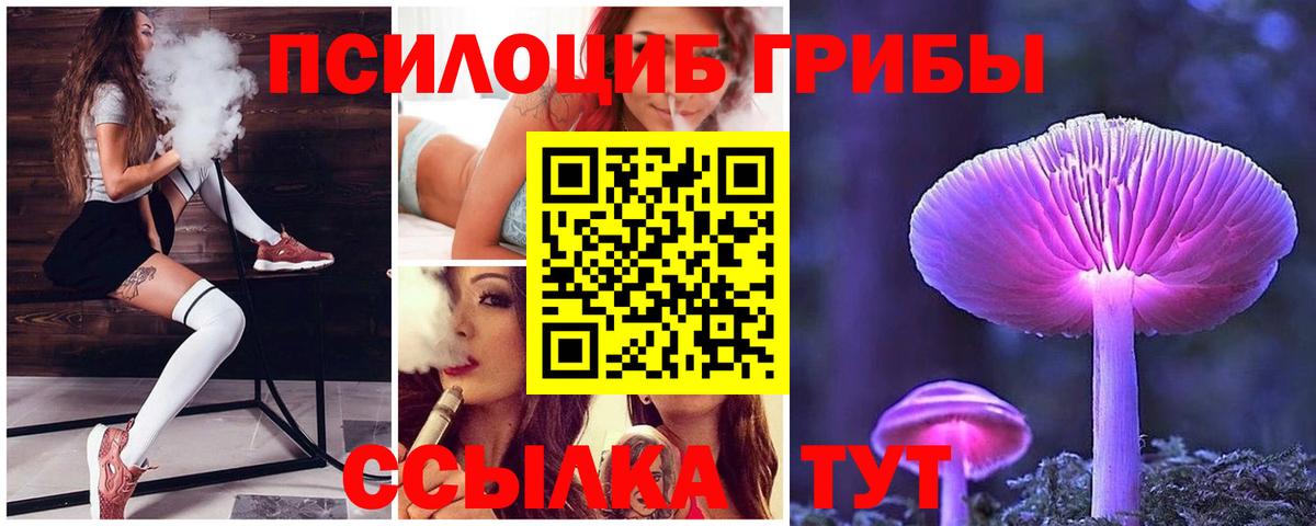 Псилоцибиновые грибы ЛСД  Вход с VPN  Псилоцибиновые грибы GOLDEN TEACHER  Хабаровск 