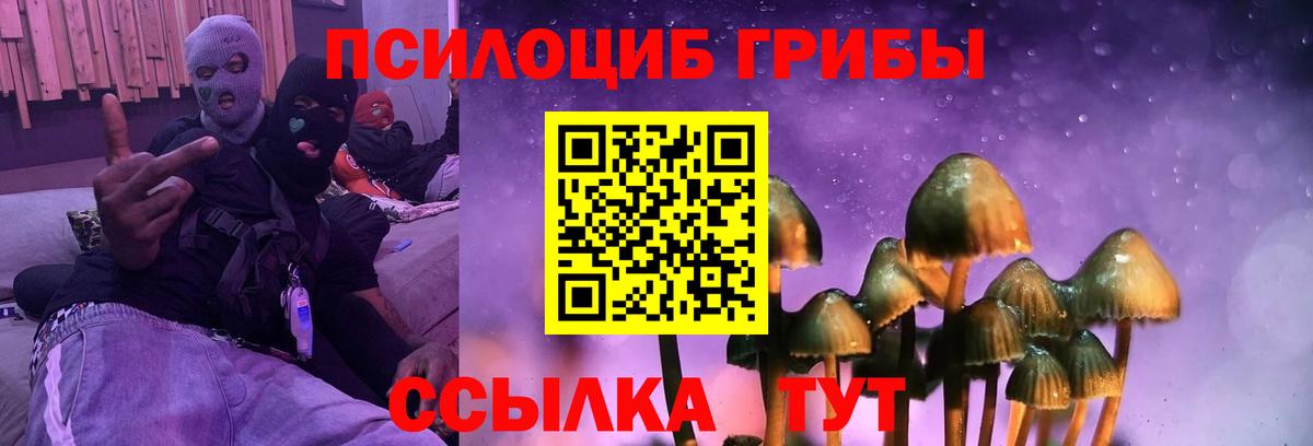Псилоцибиновые грибы ЛСД Хабаровск